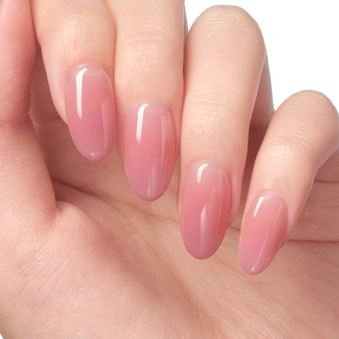 Dashing Diva Rose Layer [Almond] detail