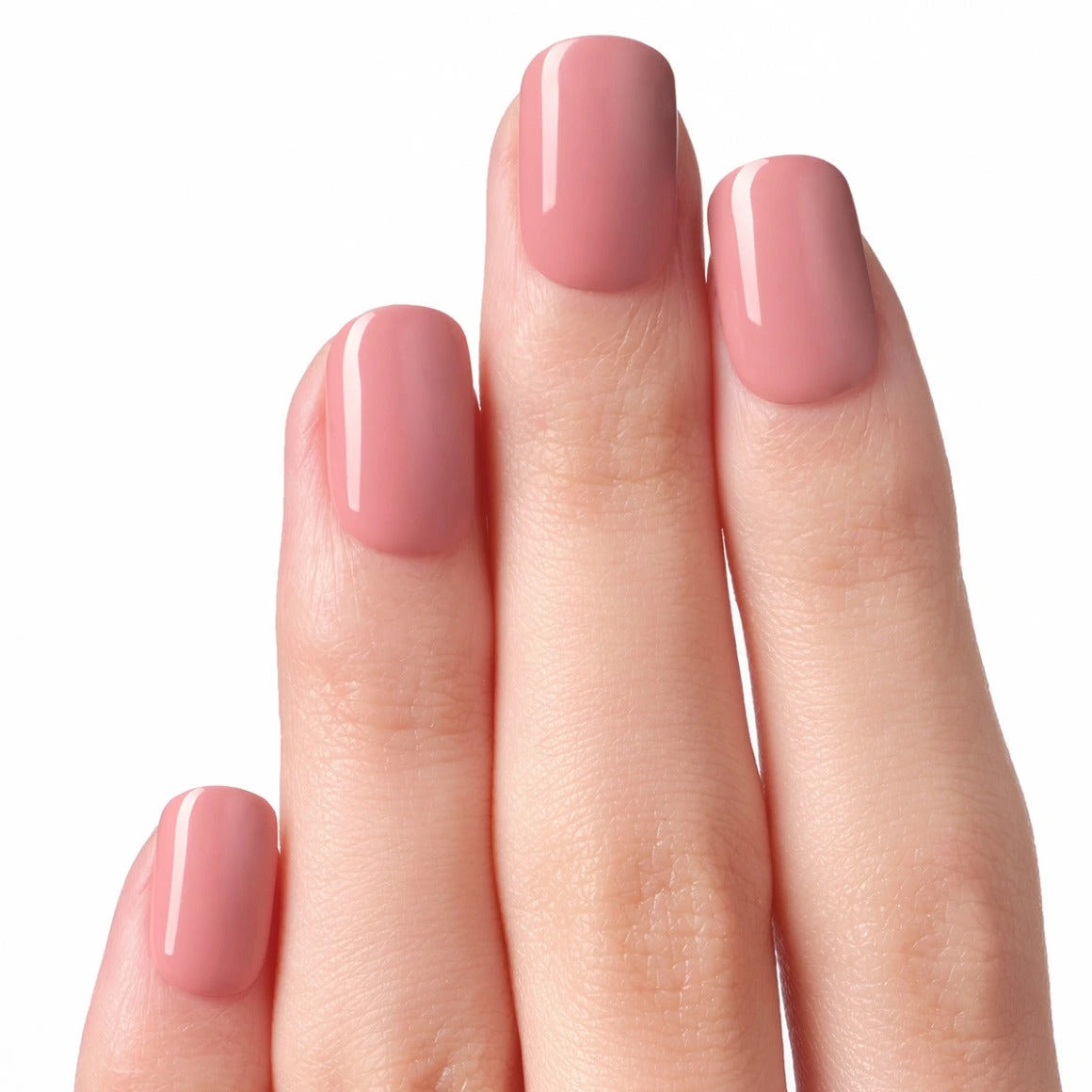 Dashing Diva Dry Rose [Medium Round]
